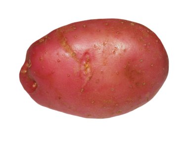 red potatoes isolated on white background, with clipping path