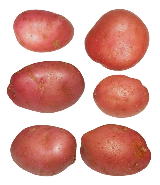 Set red potatoes isolated on white background, with clipping path — Stock Photo, Image