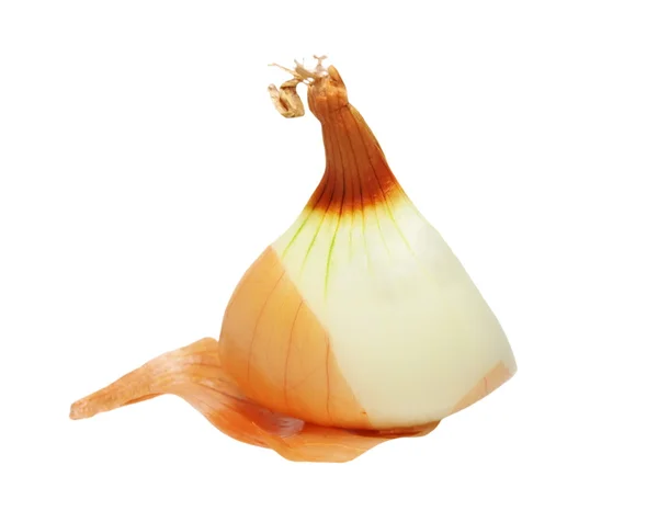 Onions isolated on white — Stock Photo, Image