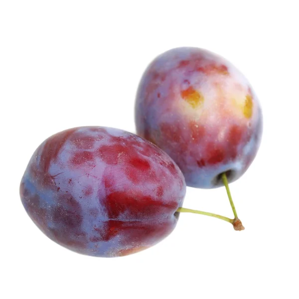 Two fresh plum isolated on white background, with clipping path — Stock Photo, Image