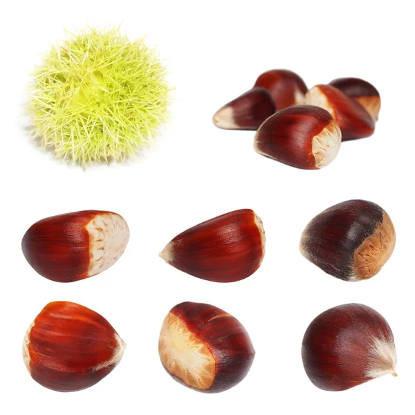 Set chestnut isolated on white background, sweet edible chestnuts — Stock Photo, Image