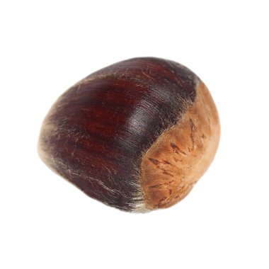 Beyaz arka plan üzerinde tatlı yenilebilir kestane izole kestane