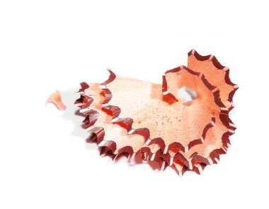 Beyaz arka plan üzerinde izole kalem talaş