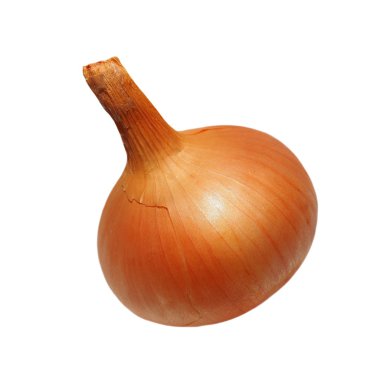 Beyaz, kırpma yolu ile izole sarı olgun soğan