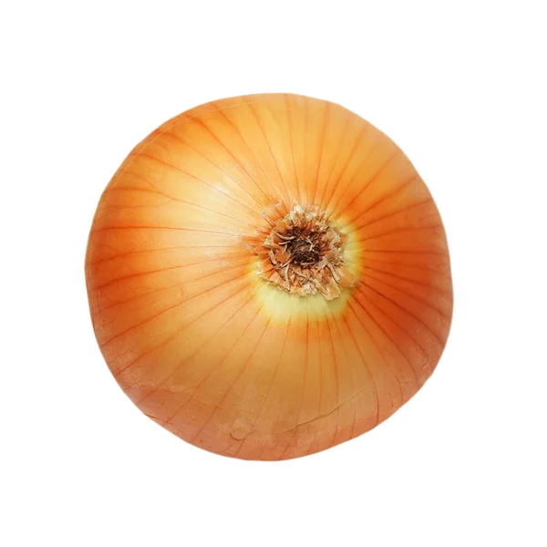 Yellow ripe onion isolated on white, with clipping path — Stock Photo, Image