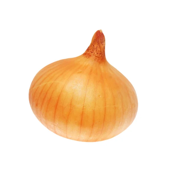 Ripe onion isolated on white, with clipping path — Stock Photo, Image