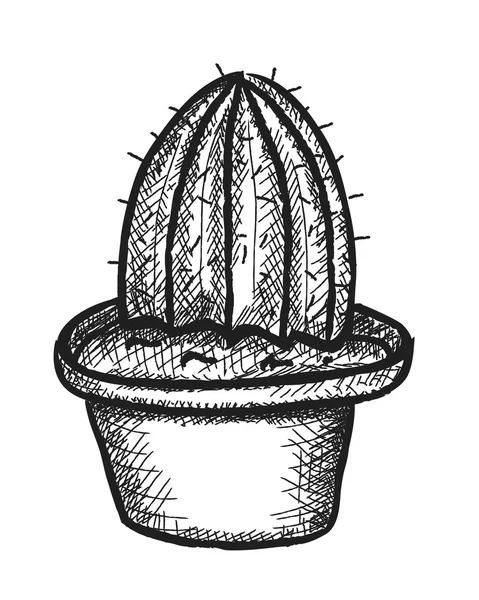 Kaktus doodle, ilustrasi retro — Stok Foto