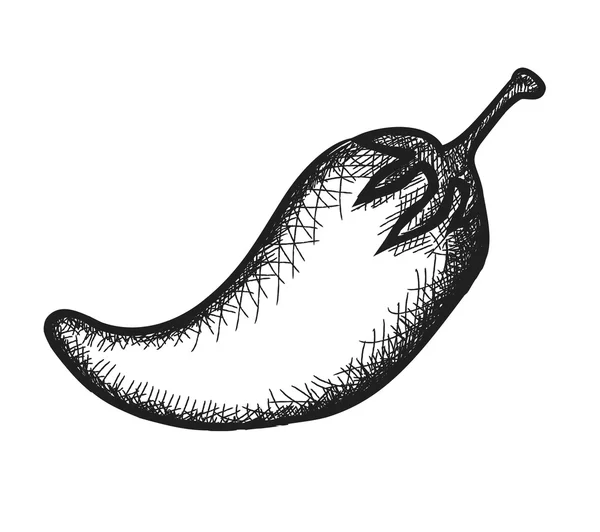 Doodle pepper  illustration icon — Stock Photo, Image