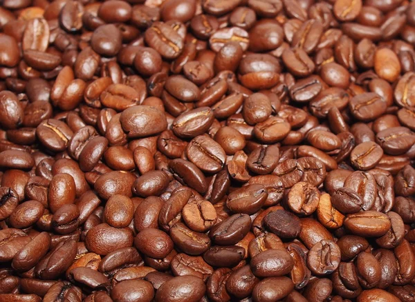 Coffee background and texture — Stock Photo, Image