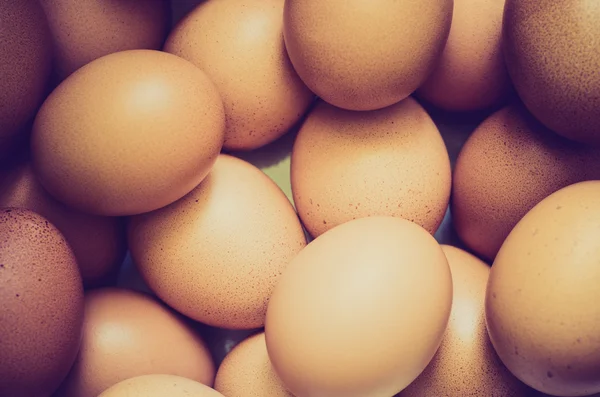 Um fundo de ovos — Fotografia de Stock