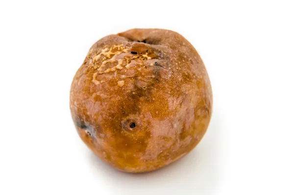 A rotten apple — Stock Photo, Image