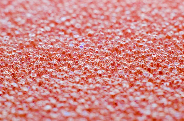 A sponge texture — Stock Photo, Image