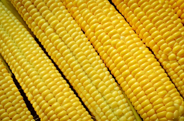 A corn background — Stock Photo, Image