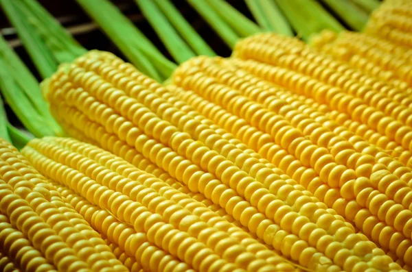 A corn background — Stock Photo, Image