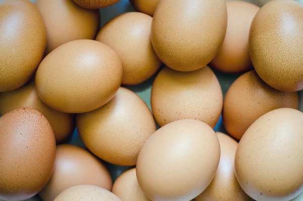 Un fondo de huevos — Foto de Stock