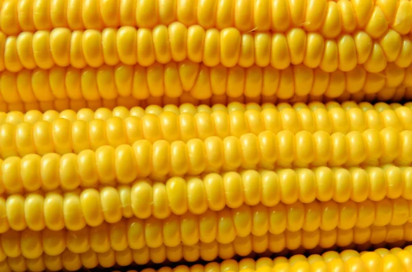 Um fundo de milho — Fotografia de Stock