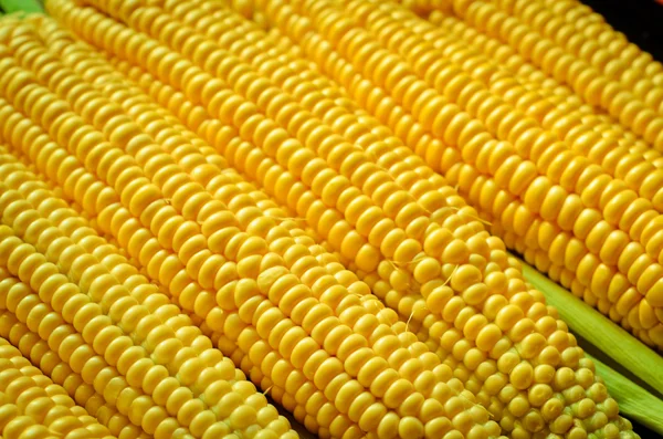A corn background — Stock Photo, Image