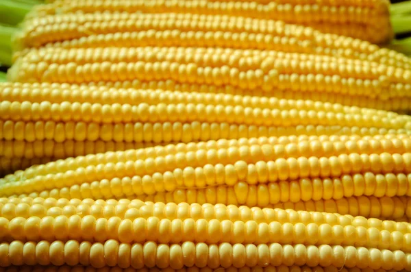 Uno sfondo di grano — Foto Stock