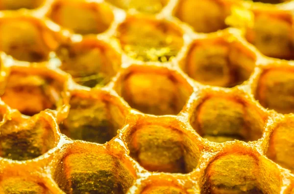 En honeycomb makro — Stockfoto