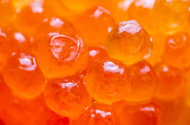 arka plan kırmızı havyar makro yaptı