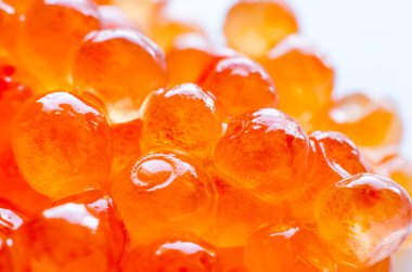 arka plan kırmızı havyar makro yaptı