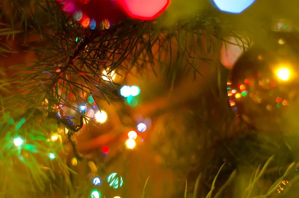 Árvore Natal Com Luzes Guirlanda Closeup — Fotografia de Stock