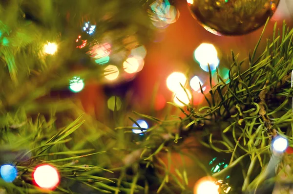 Árbol Navidad Con Luces Guirnalda Primer Plano —  Fotos de Stock