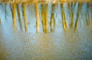 Akıp giden bir ırmakta,