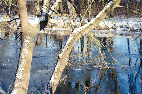 Rural River Reflections Trees — Stock Photo, Image