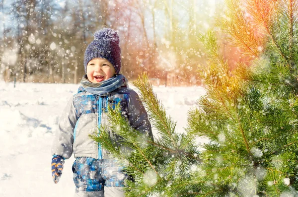 Kleine Jongen Winterpark — Stockfoto