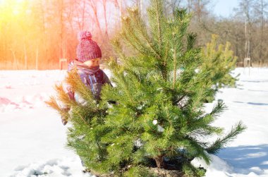 Kış parkında küçük bir çocuk