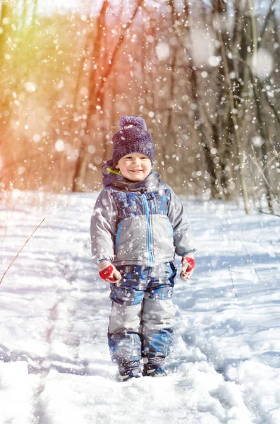 Kleiner Junge Spaziert Winterpark — Stockfoto
