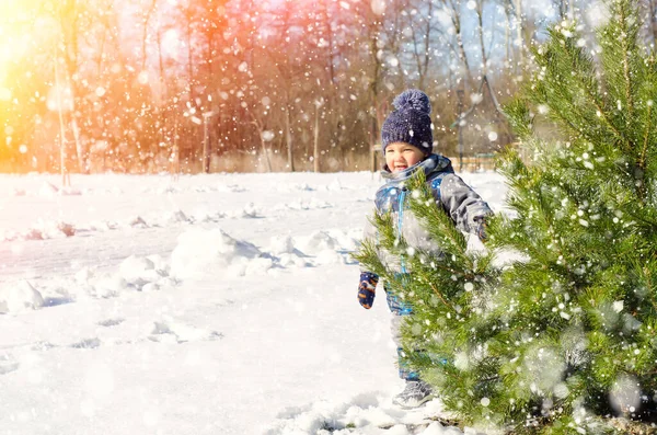 Petit Garçon Dans Parc Hiver — Photo