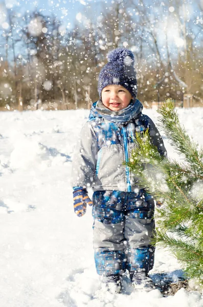 Petit Garçon Dans Parc Hiver — Photo