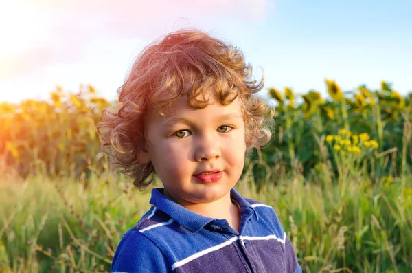 Niño Pequeño Campo Girasol —  Fotos de Stock