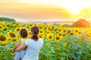 Anne ve çocuk ayçiçeği tarlasında