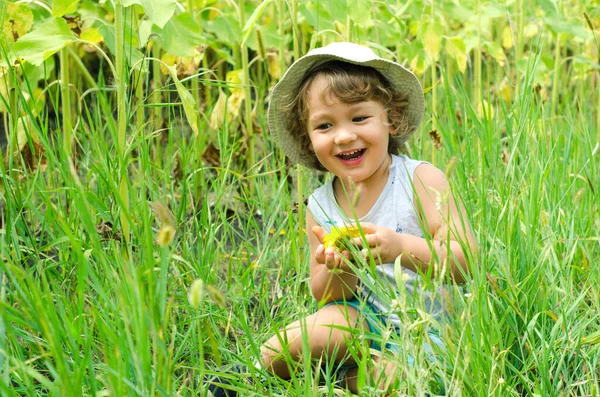 Happy Little Boy Sitting Green Grass — Stock Photo, Image