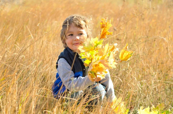 Kleine Jongen Met Herfst Bladeren Buiten — Stockfoto