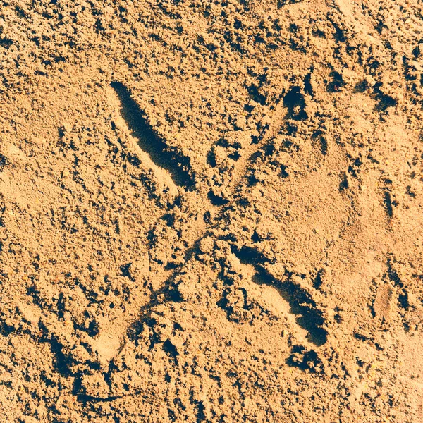 Alphabet Letter Made Sand — Stock Photo, Image