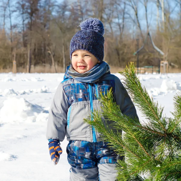 Malý Chlapec Zimním Parku — Stock fotografie