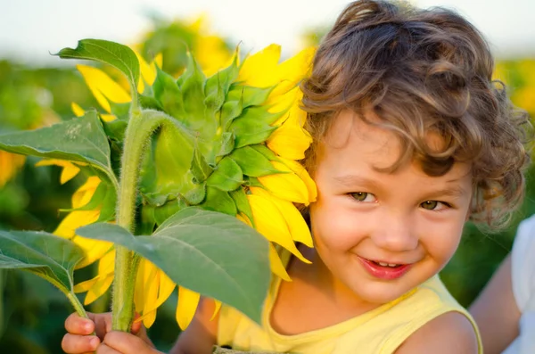 Kleiner Junge Mit Gelben Sonnenblumen Nahaufnahme — Stockfoto