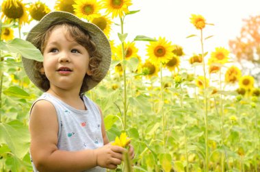 Ayçiçeği tarlasında küçük bir çocuk