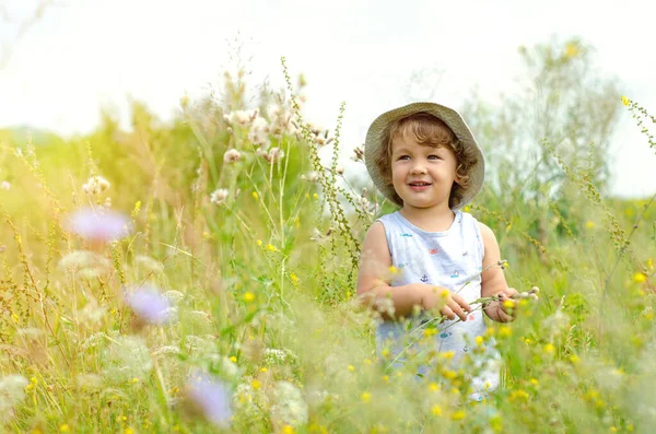 草地上的小男孩 — 图库照片