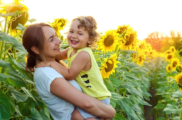 Mutter Und Baby Sonnenblumenfeld — Stockfoto