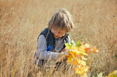 Sonbahar yapraklı küçük çocuk açık havada