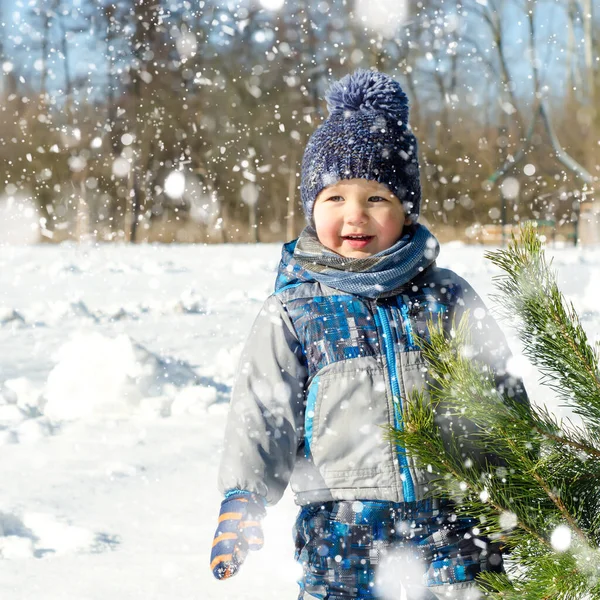 Mały Chłopiec Zimowym Parku — Zdjęcie stockowe
