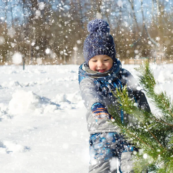 Mały Chłopiec Zimowym Parku — Zdjęcie stockowe