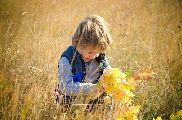 Kleine Jongen Met Herfst Bladeren Buiten — Stockfoto