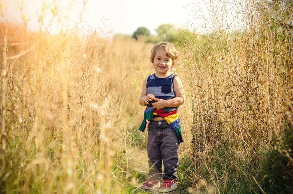 Niño Pequeño Caminando Campo Rural —  Fotos de Stock