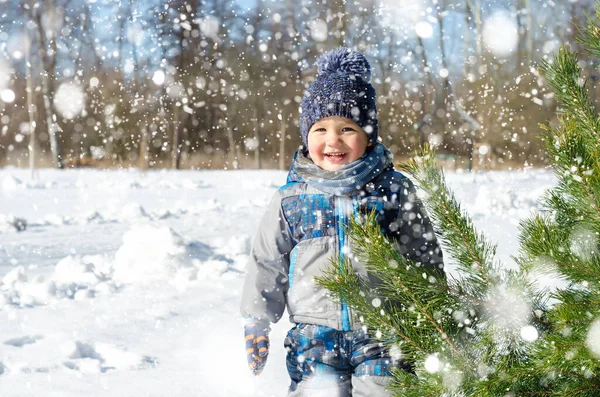 Niño Pequeño Parque Invierno — Foto de Stock